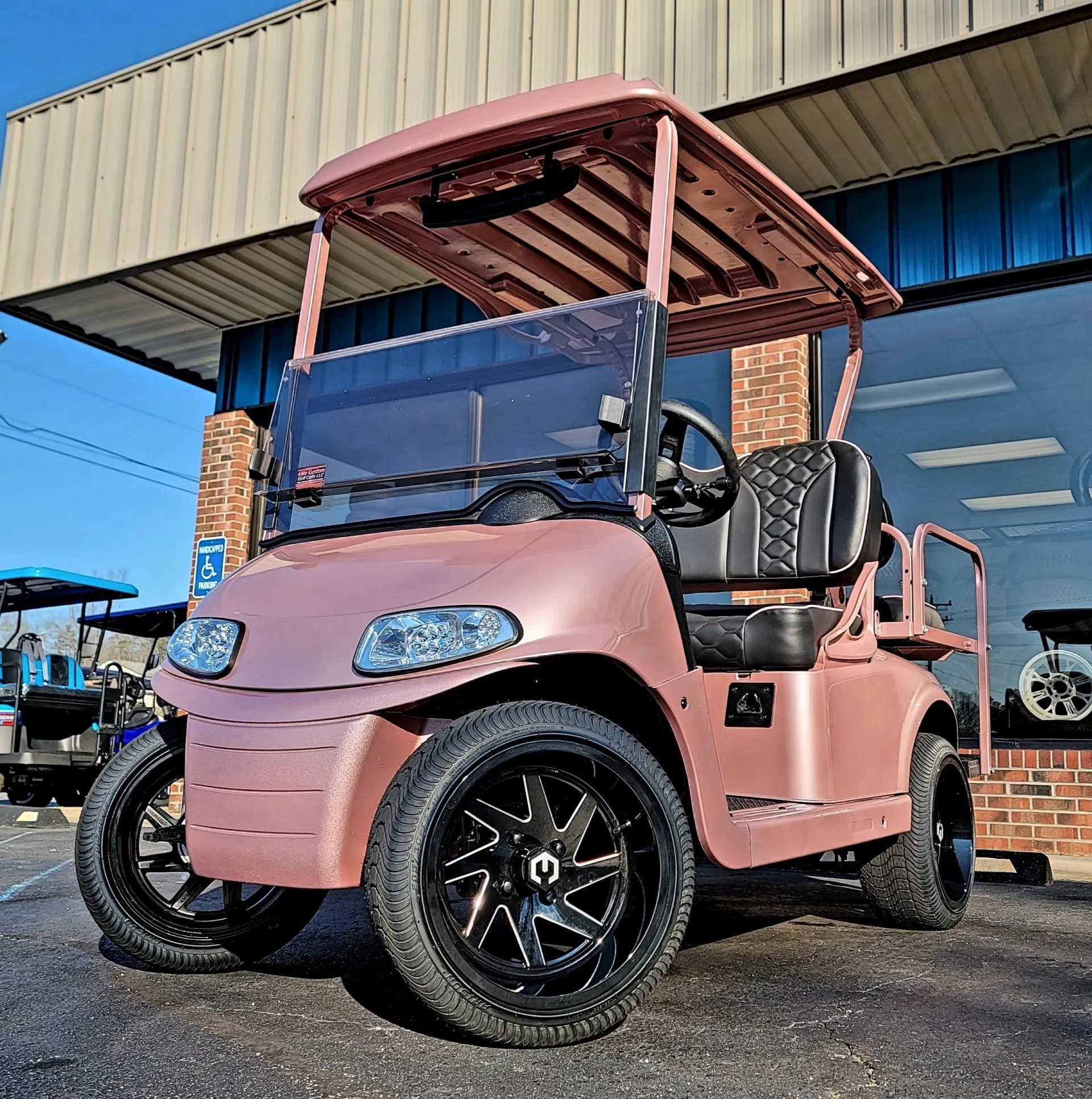 Happy customer with custom cart #17