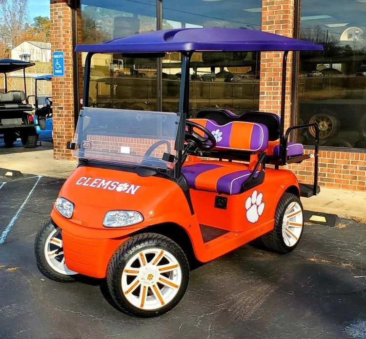 Happy customer with custom cart #2