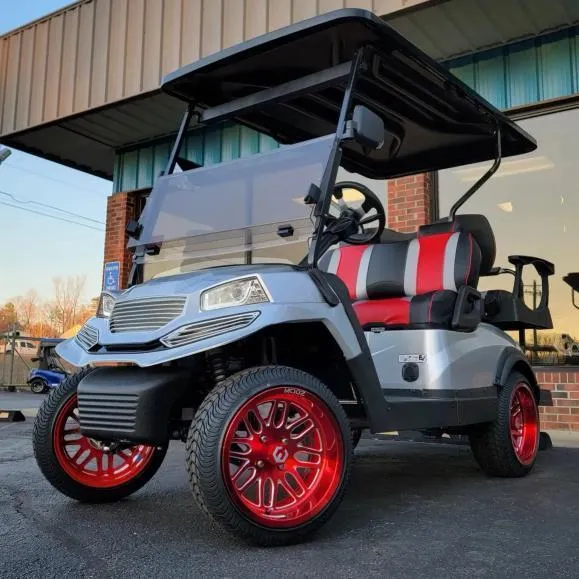 Happy customer with custom cart #29