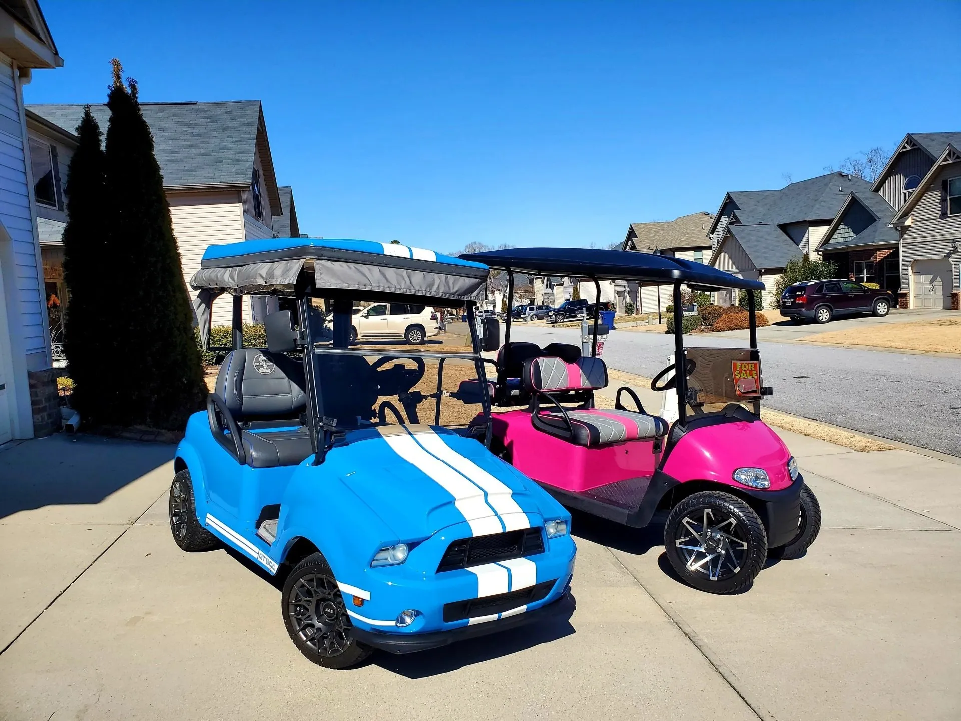 Happy customer with custom cart #3
