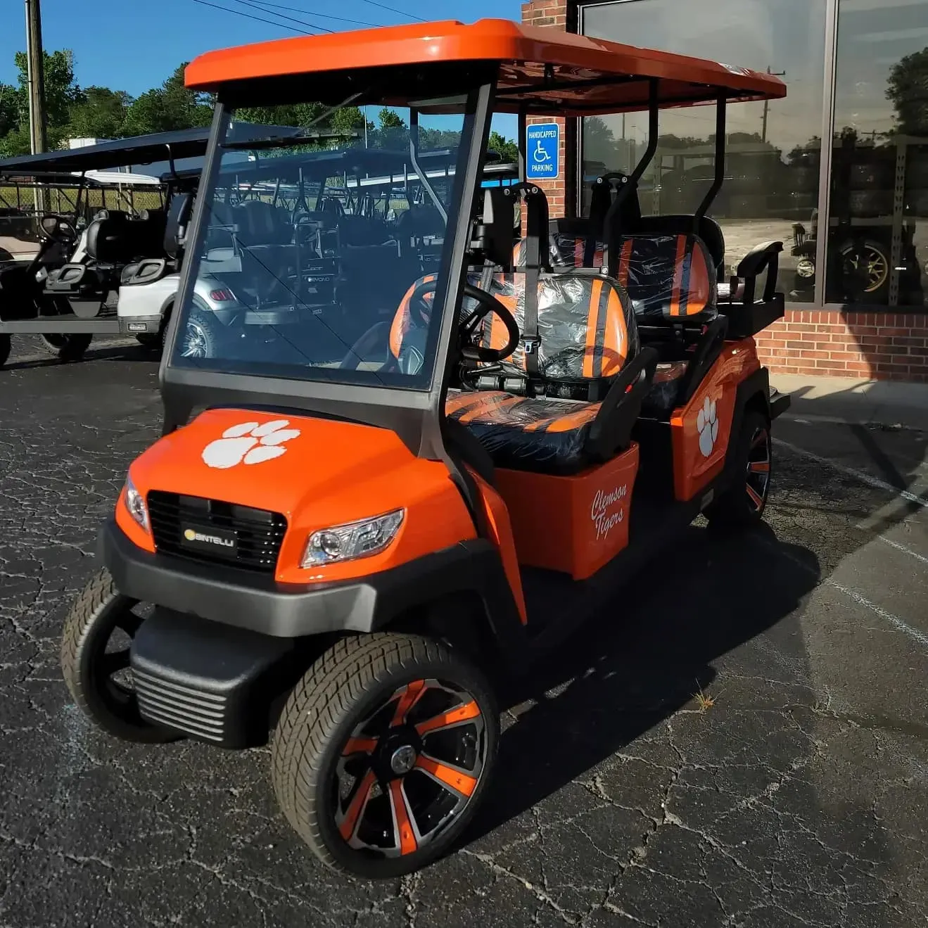 Happy customer with custom cart #32