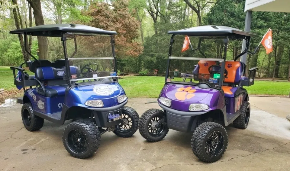 Happy customer with custom cart #39