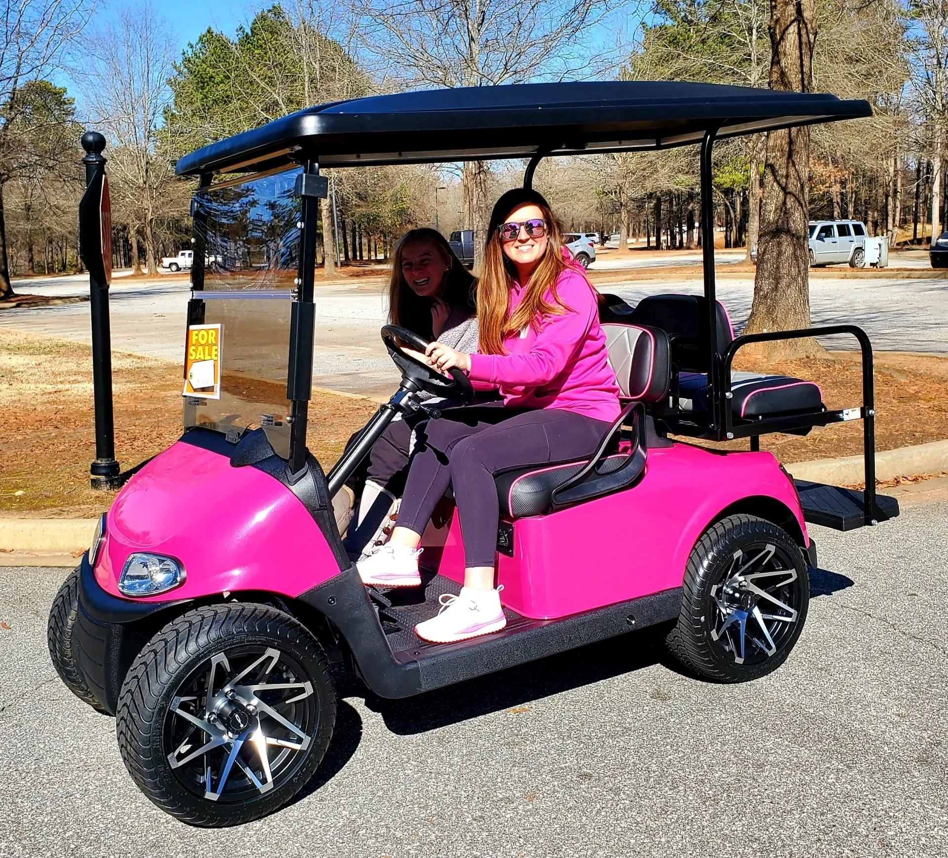 Happy customer with custom cart #4
