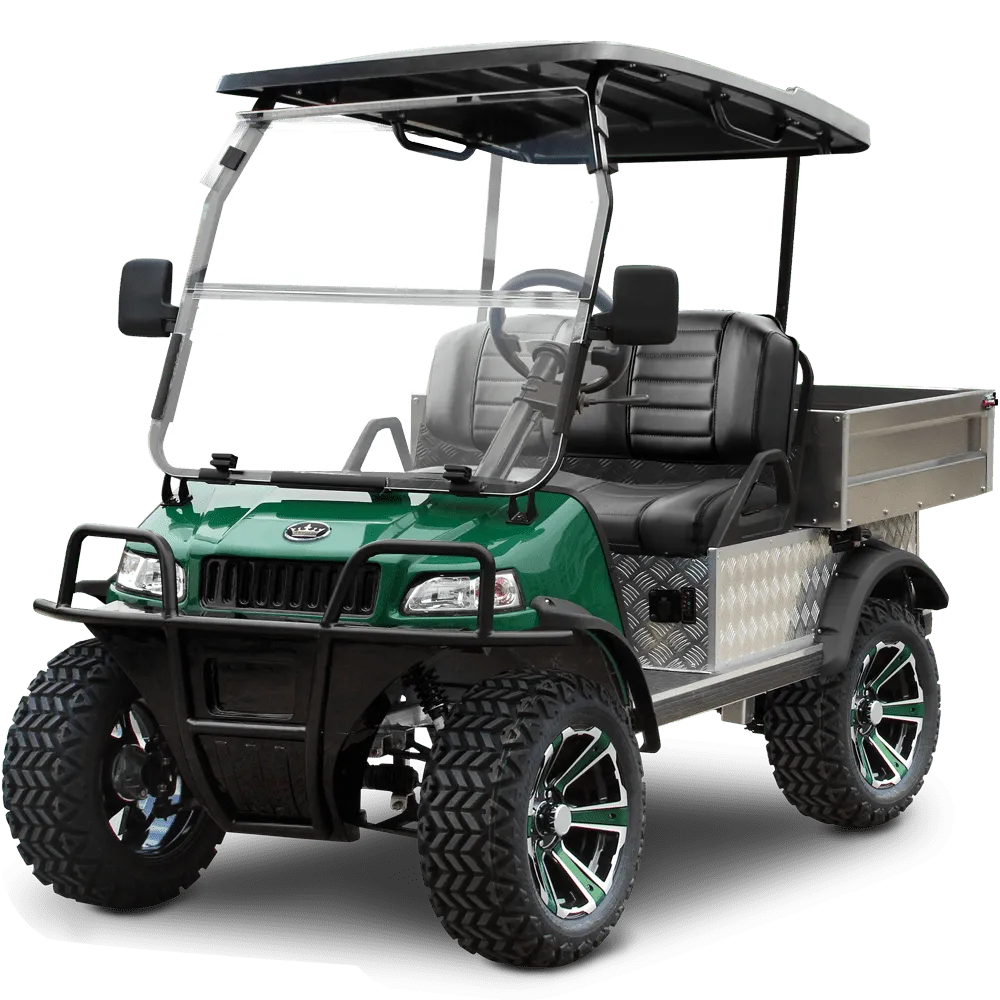 Evolution electric vehicle (11)